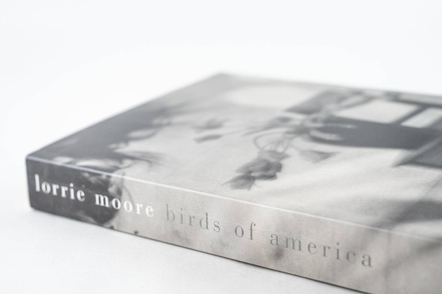 Birds of America