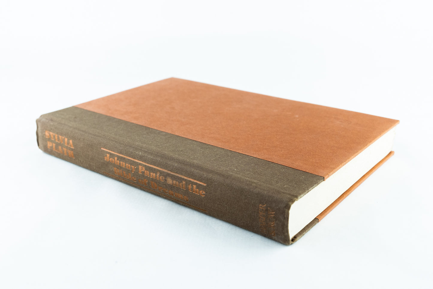 Johnny Panic and the Bible of Dreams: Short Stories, Prose and Diary Excerpts
