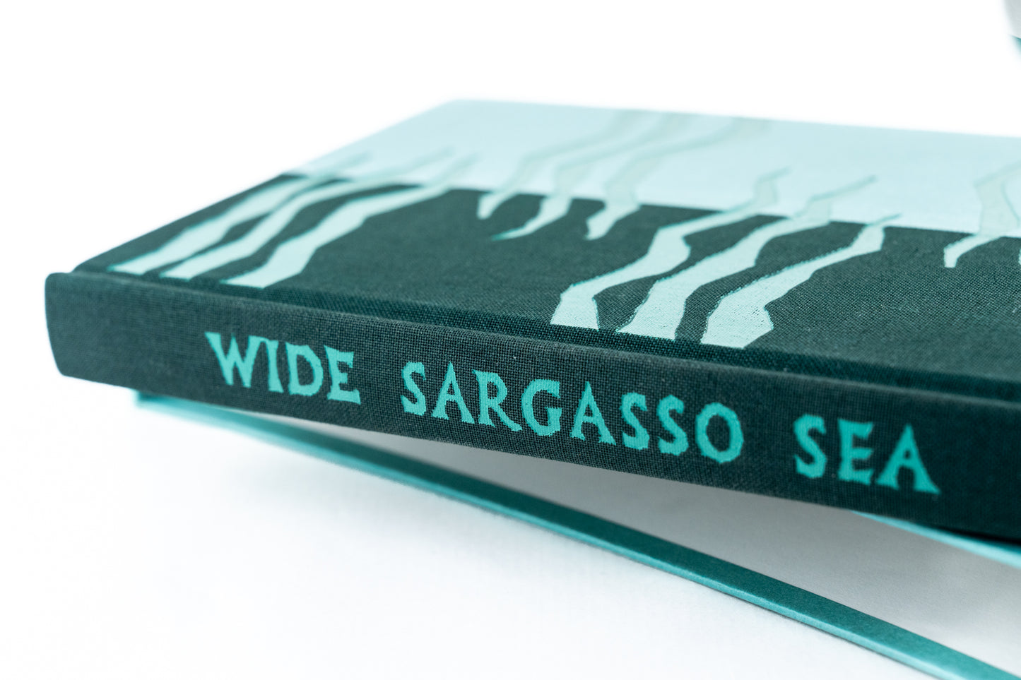Wide Sargasso Sea