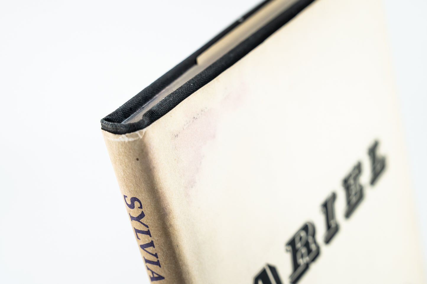 Ariel