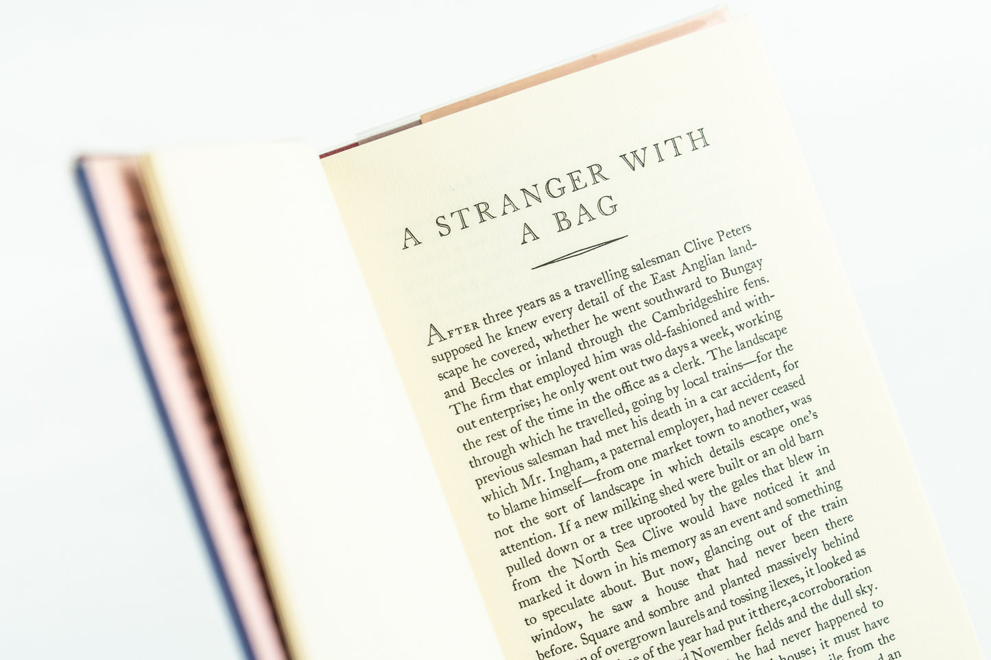 A Stranger with a Bag
