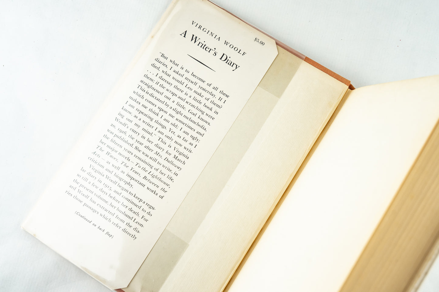A Writer's Diary