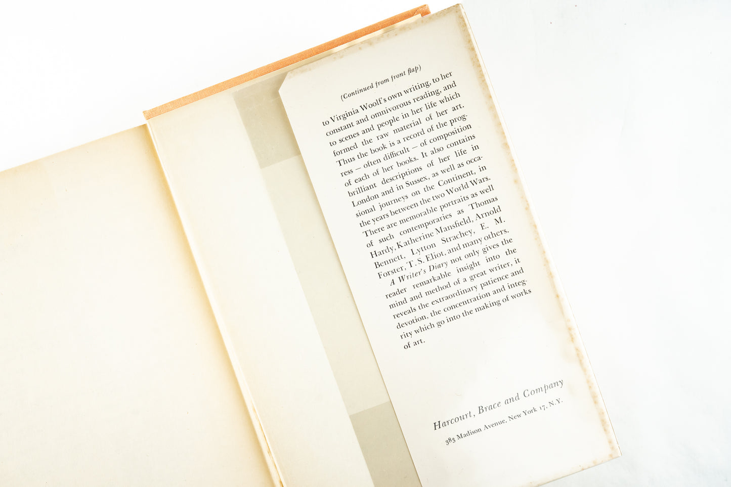 A Writer's Diary