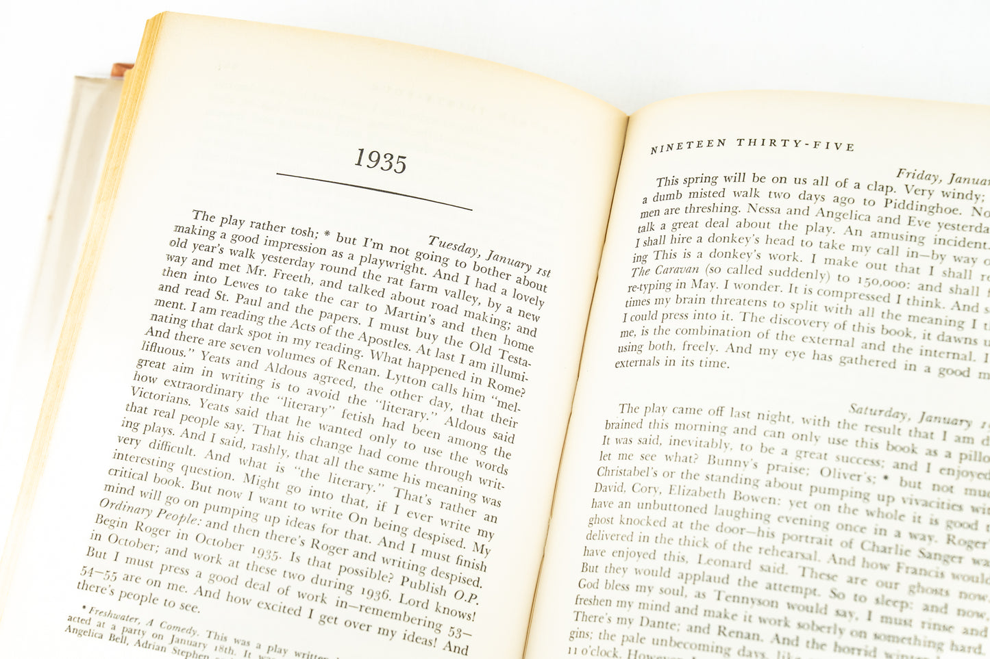 A Writer's Diary
