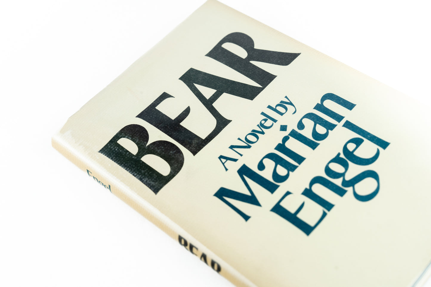 Bear