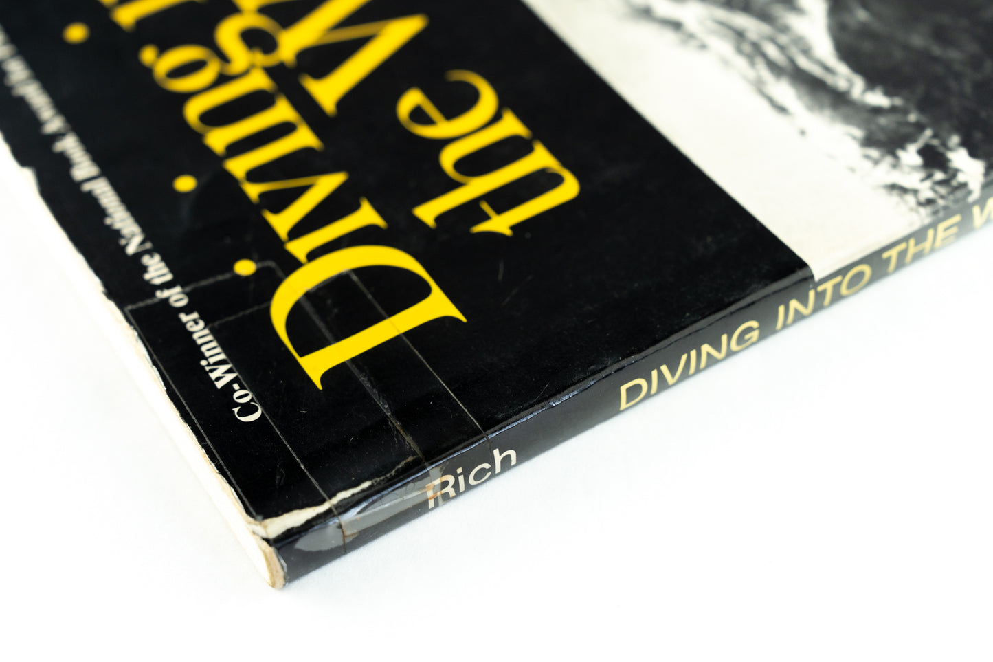 Diving Into the Wreck: Poems, 1971-1972