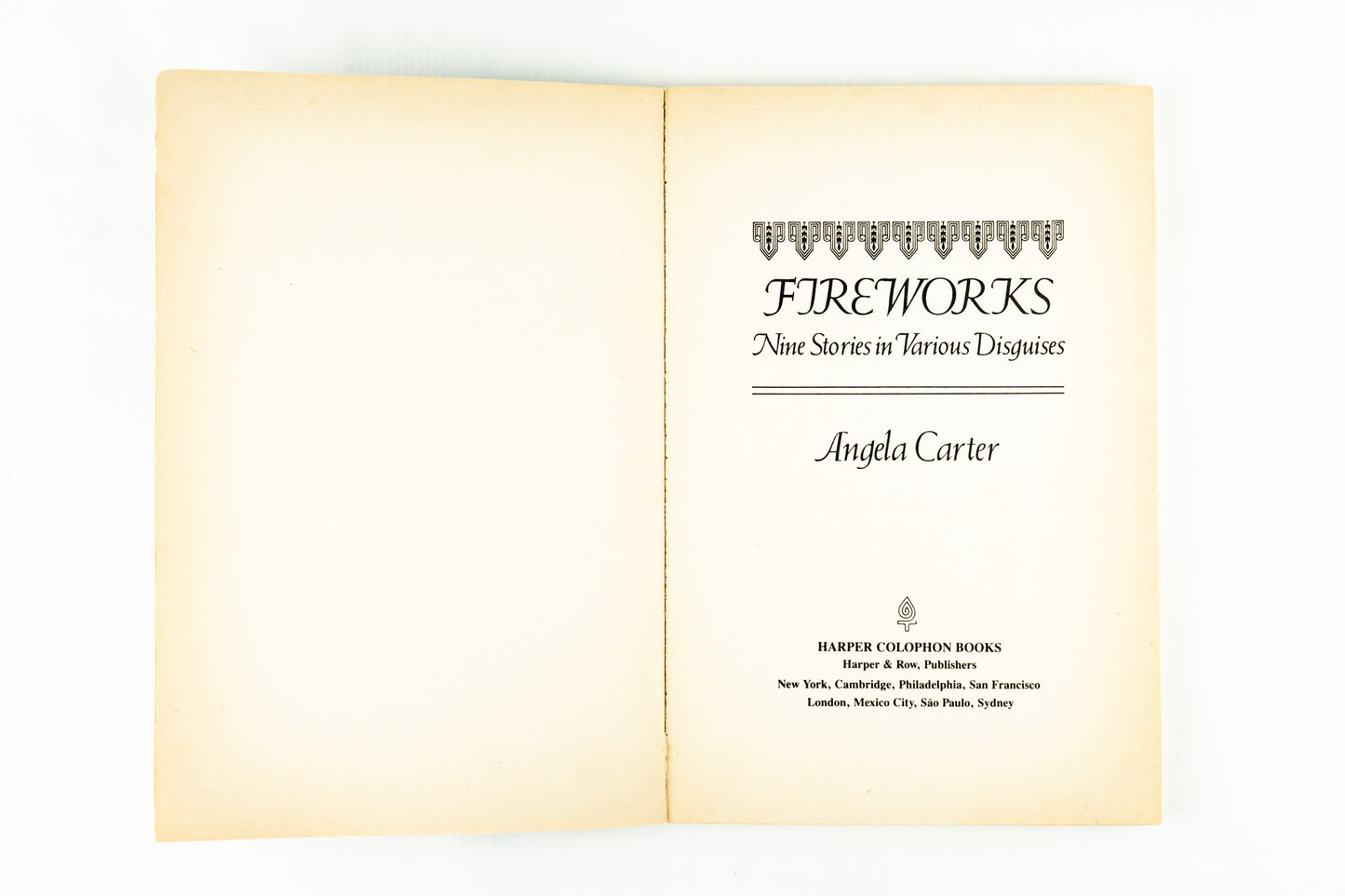 Fireworks: Nine Stories in Various Disguises