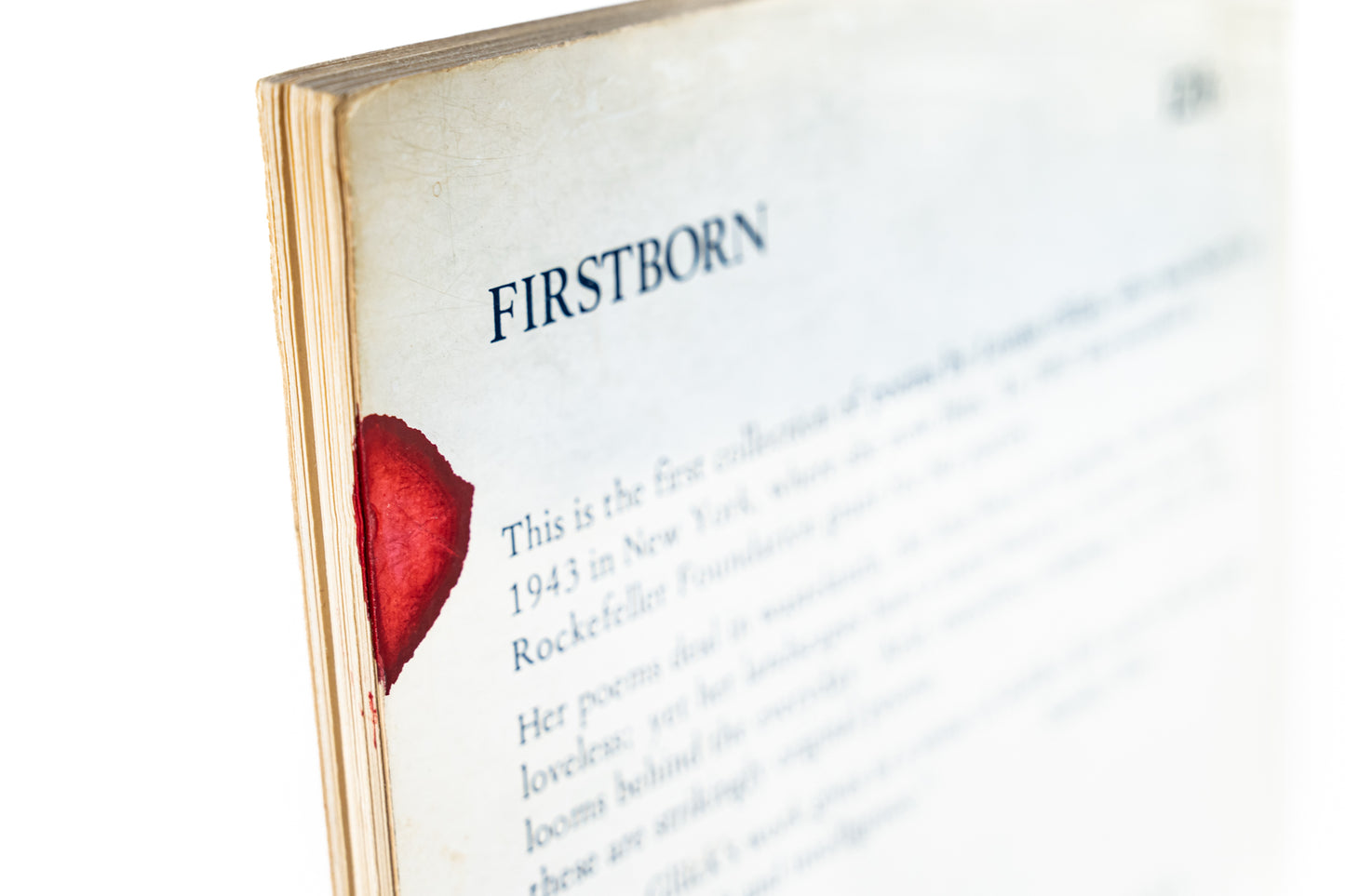 Firstborn