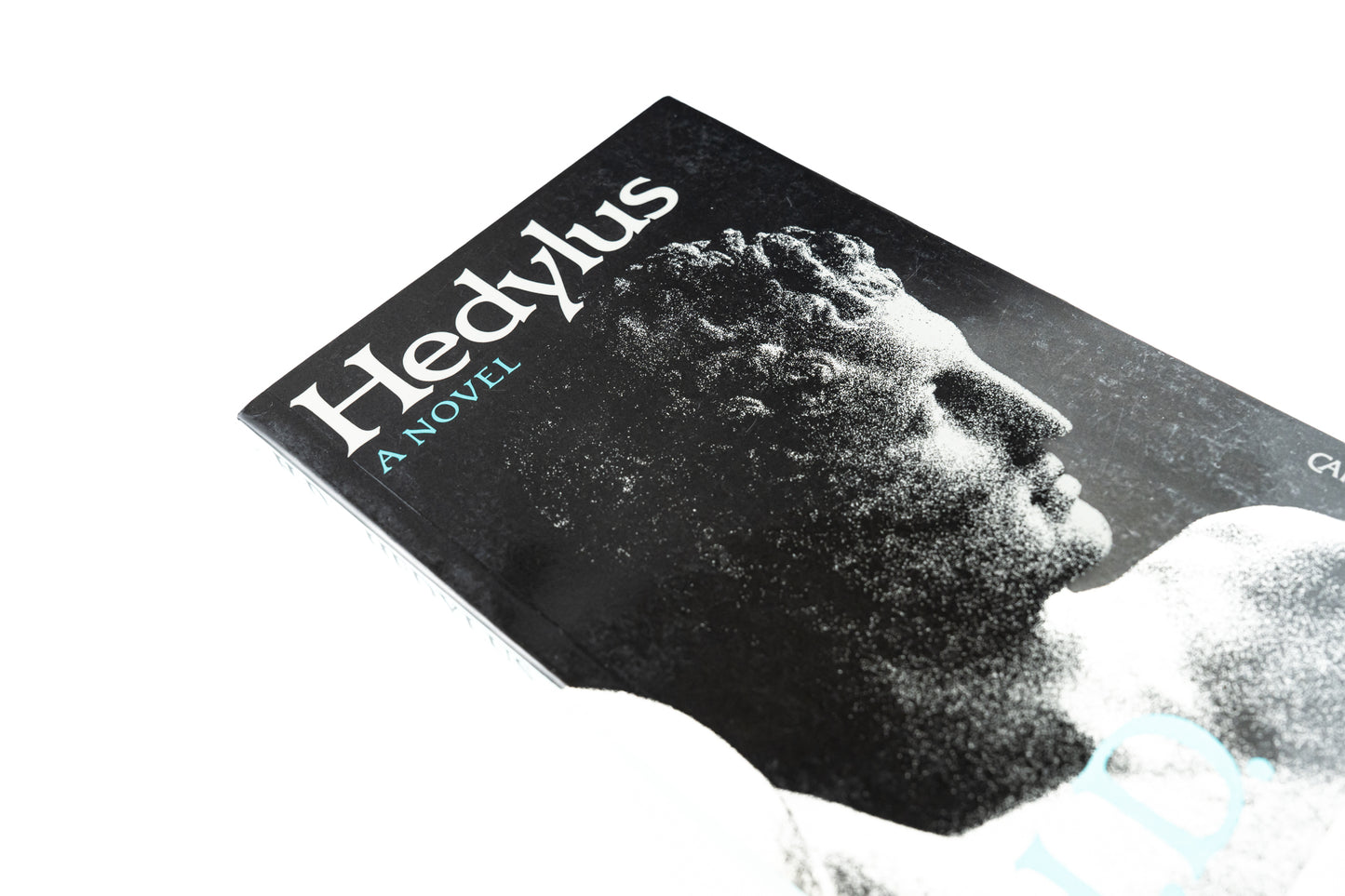 Hedylus