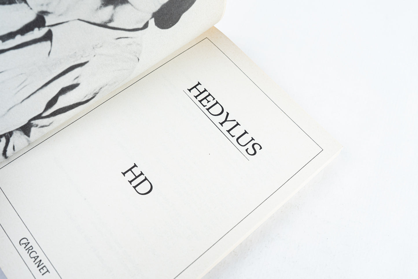 Hedylus