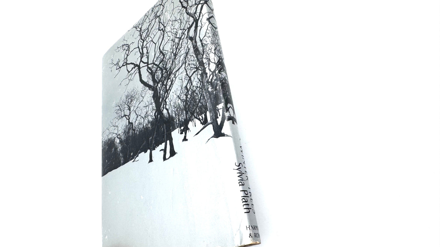 Winter Trees
