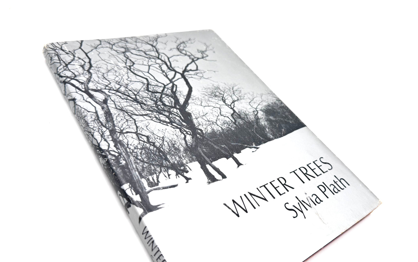 Winter Trees