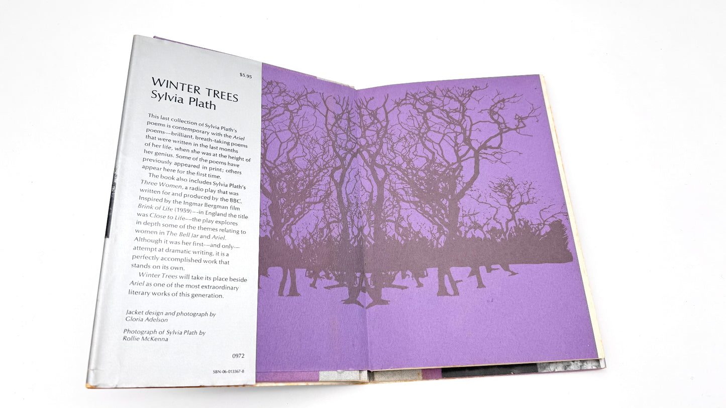 Winter Trees