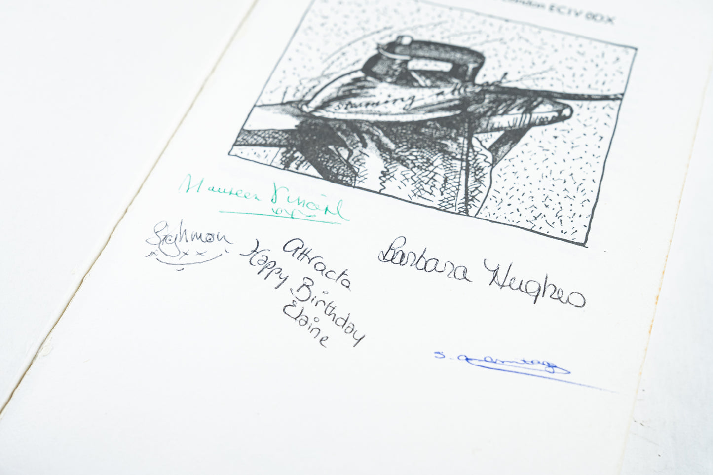 In Search of Our Mothers' Gardens, Womanist Prose