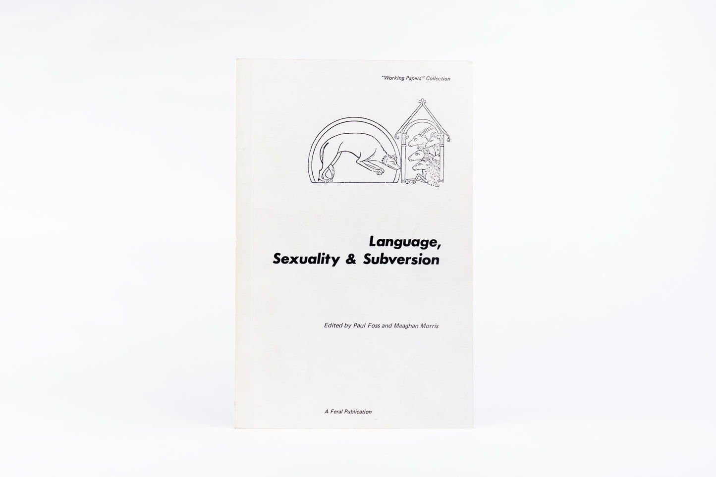 Language, Sexuality and Subversion