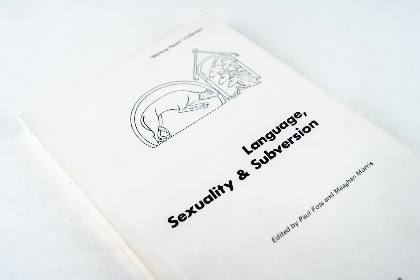 Language, Sexuality and Subversion