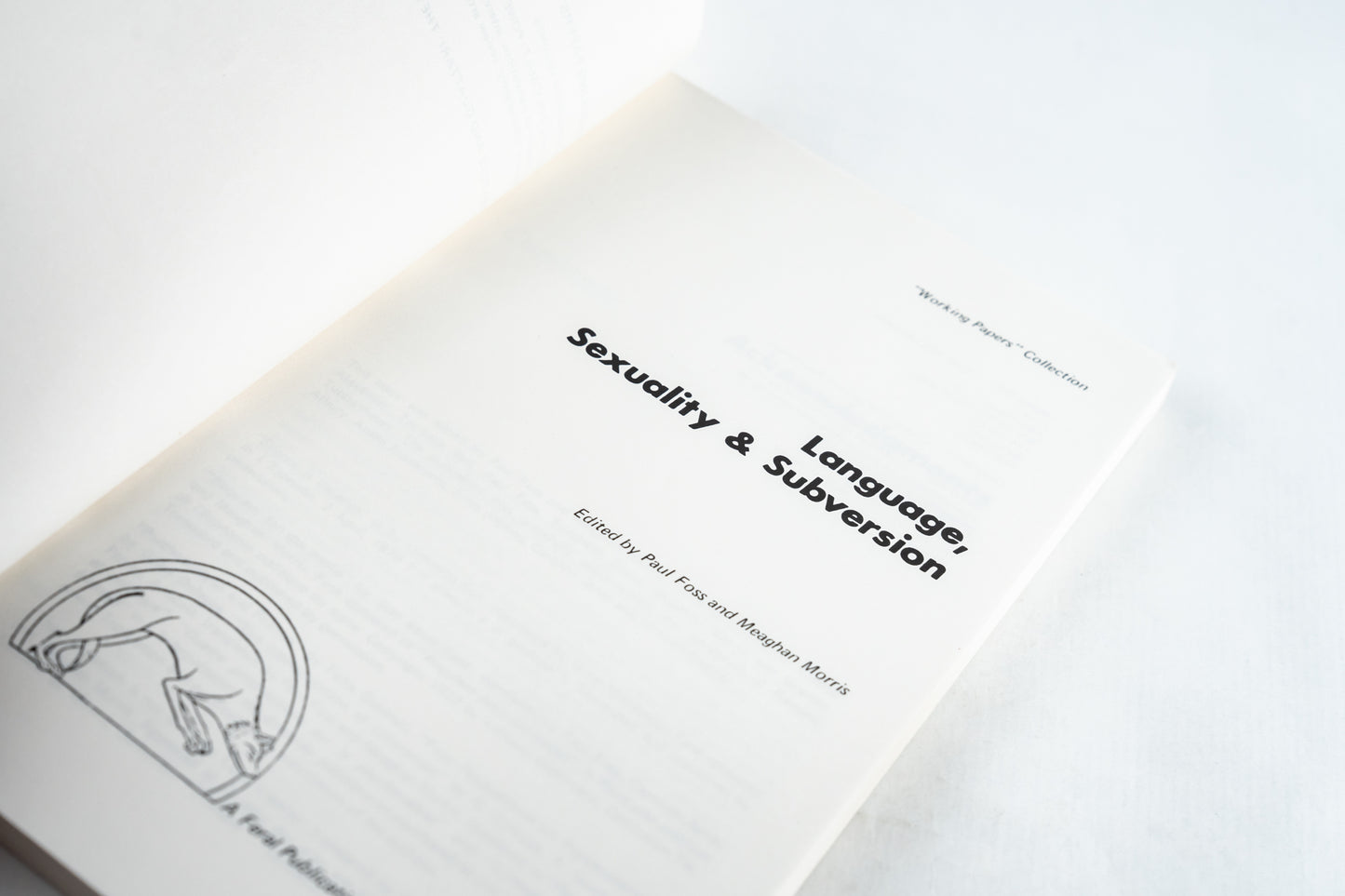 Language, Sexuality and Subversion
