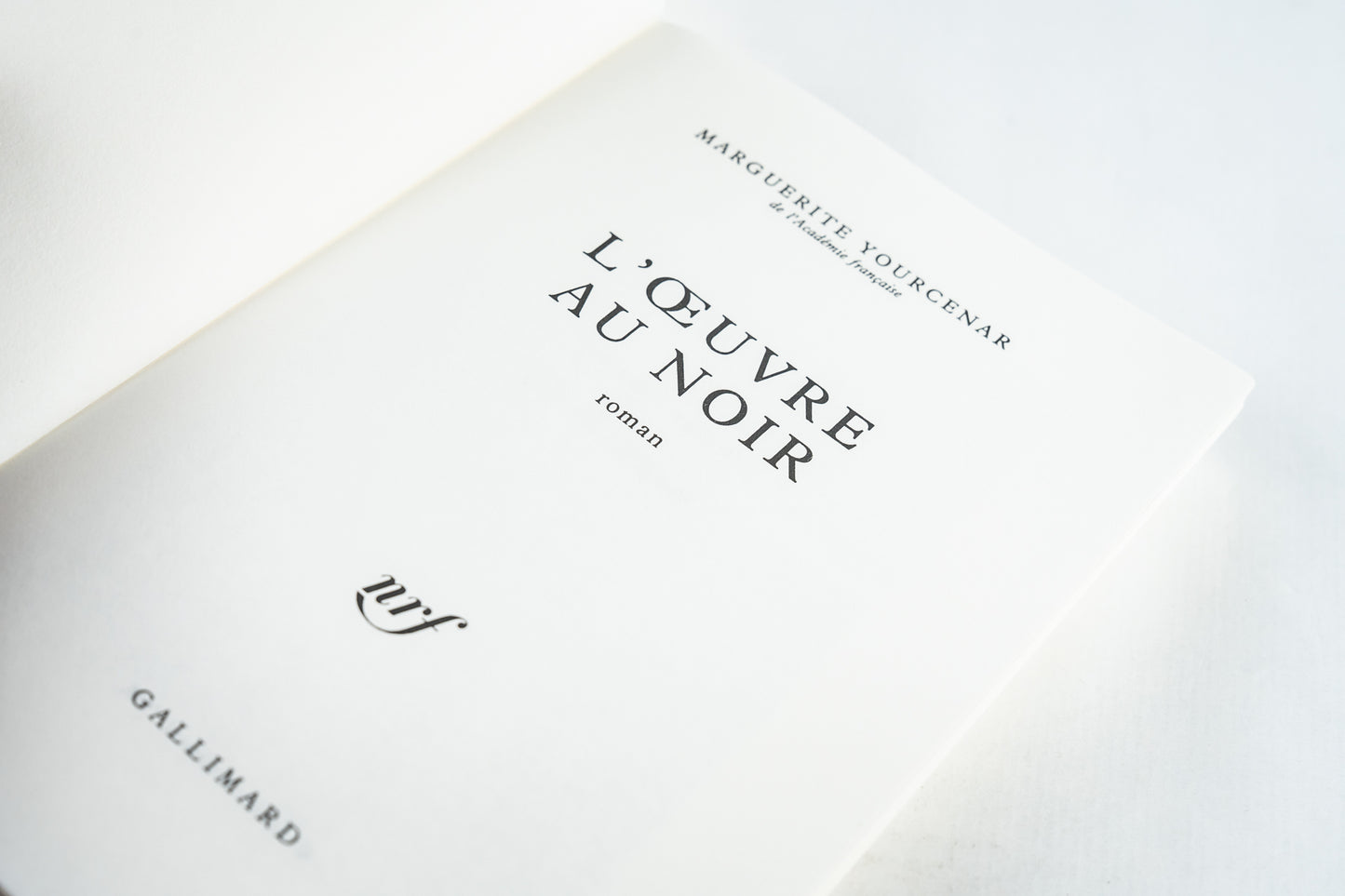 L'oeuvre au noir