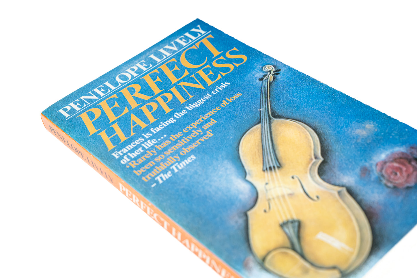 Perfect Happiness