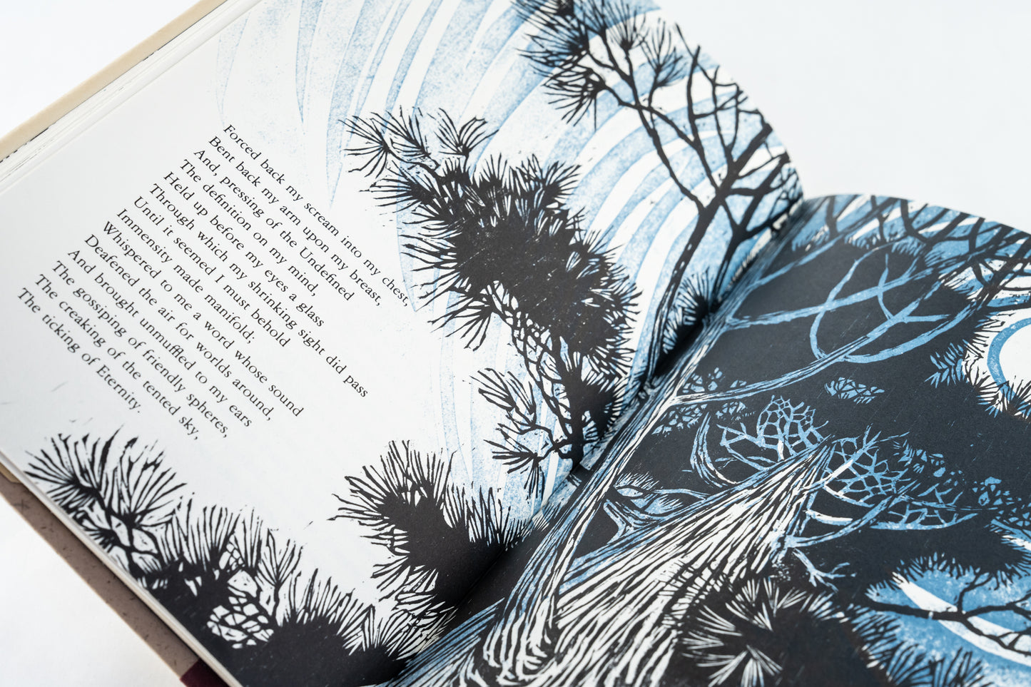Edna St. Vincent Millay's Poems: Selected for Young People