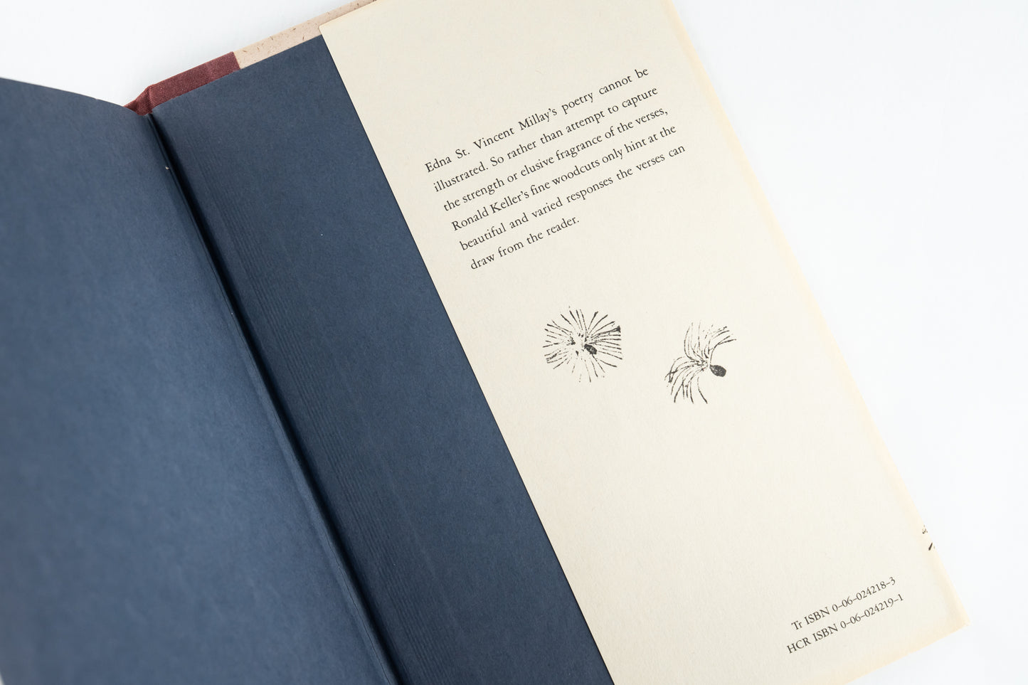 Edna St. Vincent Millay's Poems: Selected for Young People