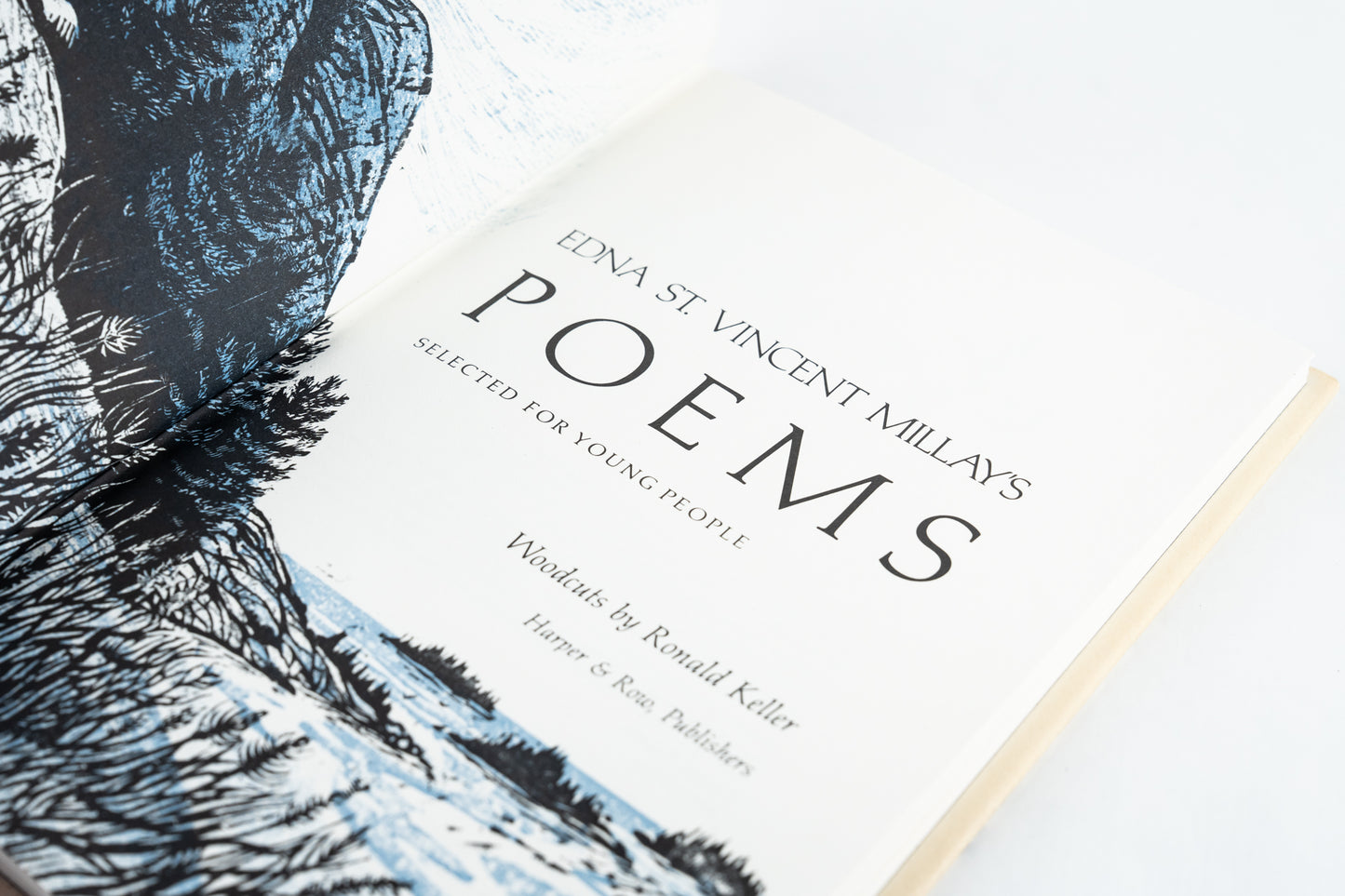Edna St. Vincent Millay's Poems: Selected for Young People
