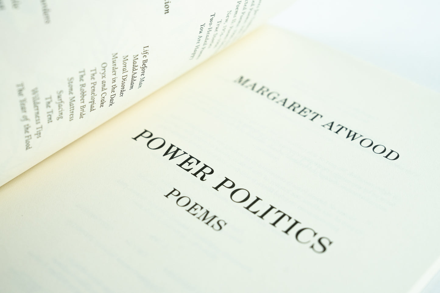 Power Politics