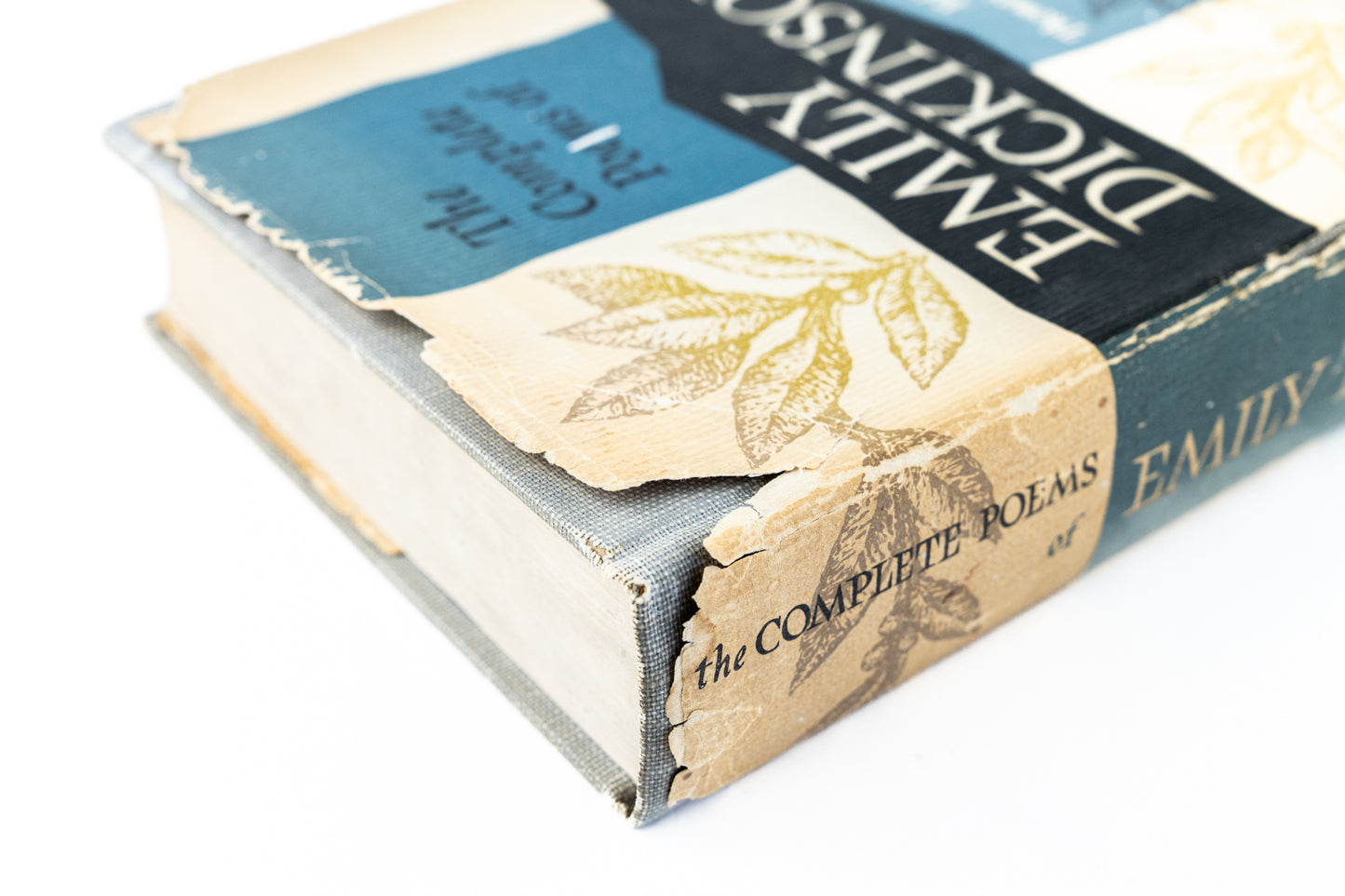 The Complete Poems of Emily Dickinson
