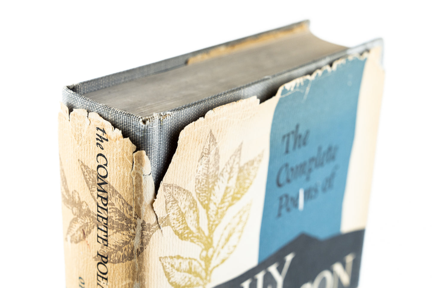 The Complete Poems of Emily Dickinson