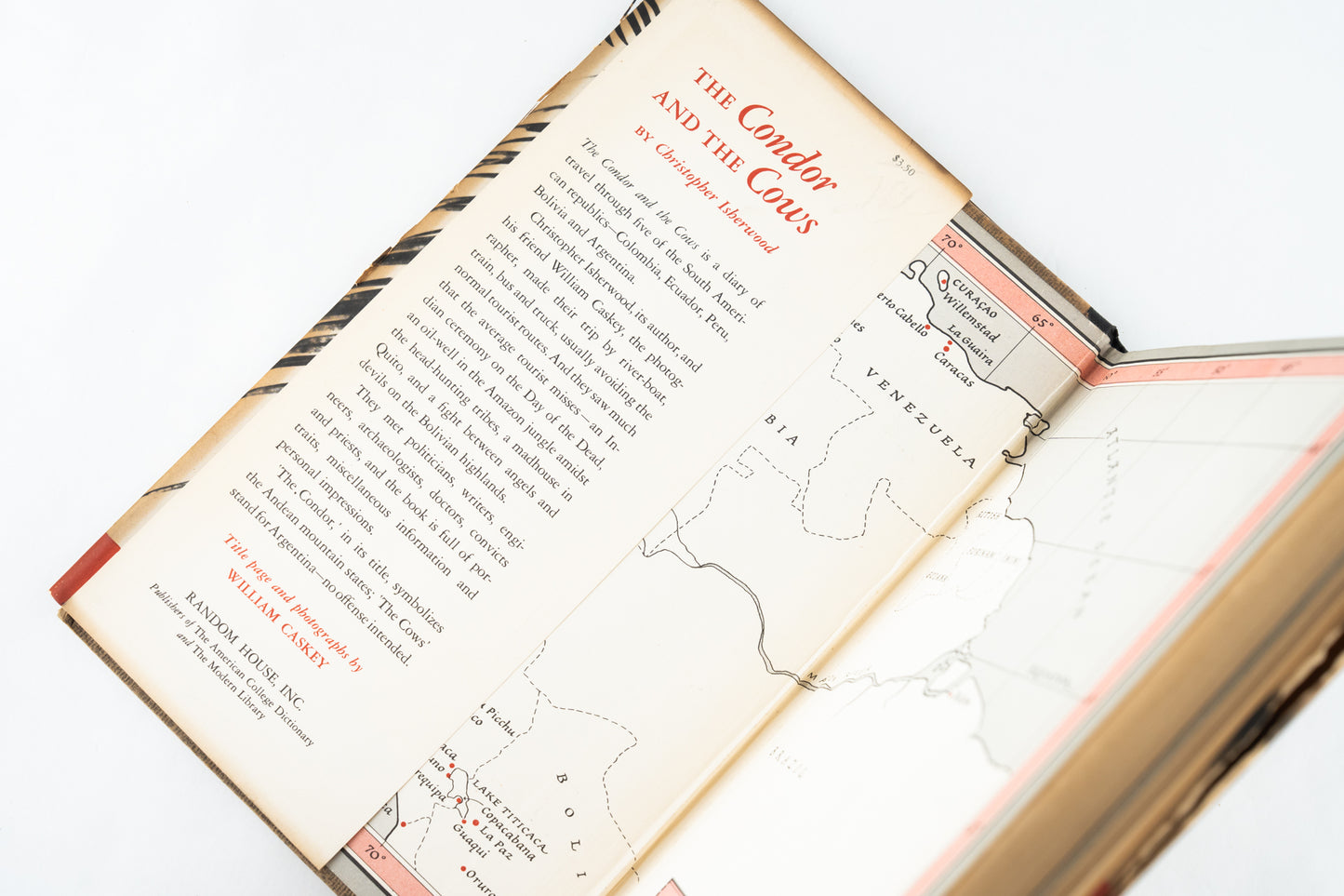 The Condor and the Cows: A South American Travel-Diary