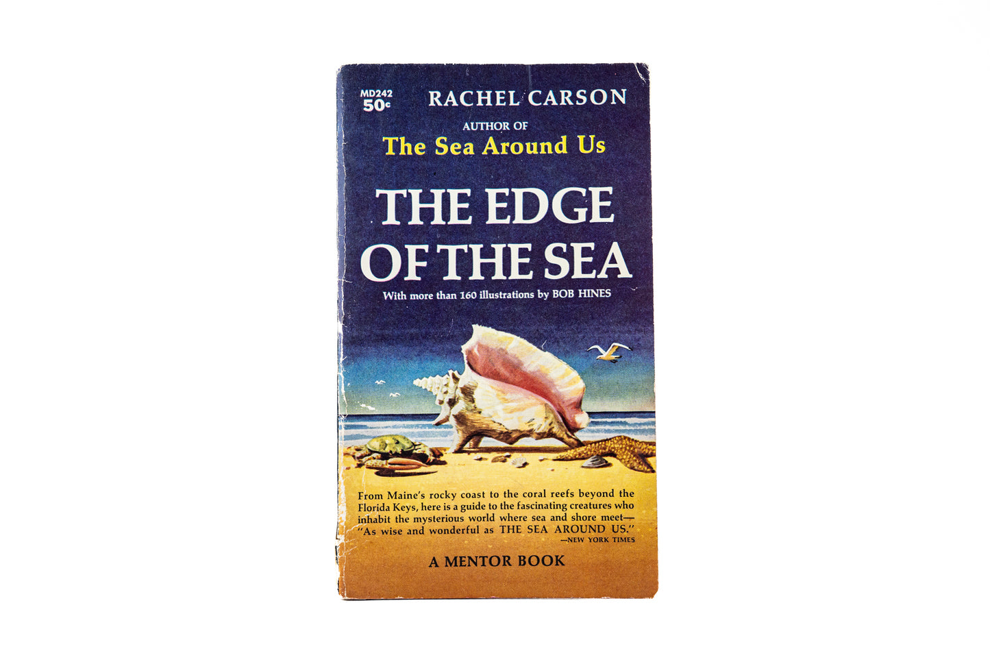 The Edge of the Sea