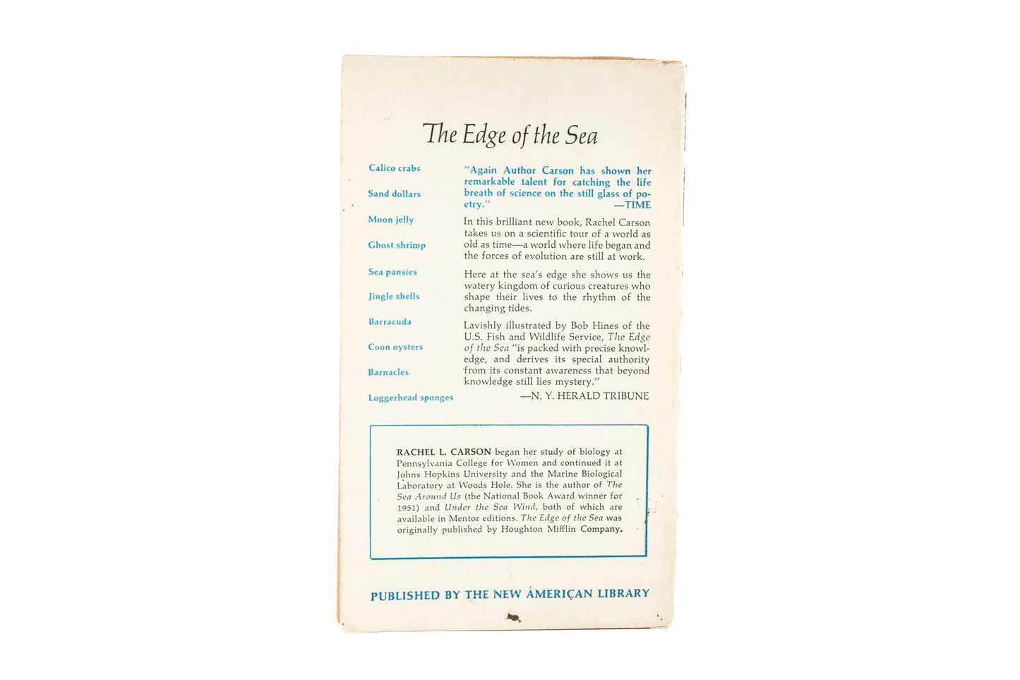 The Edge of the Sea