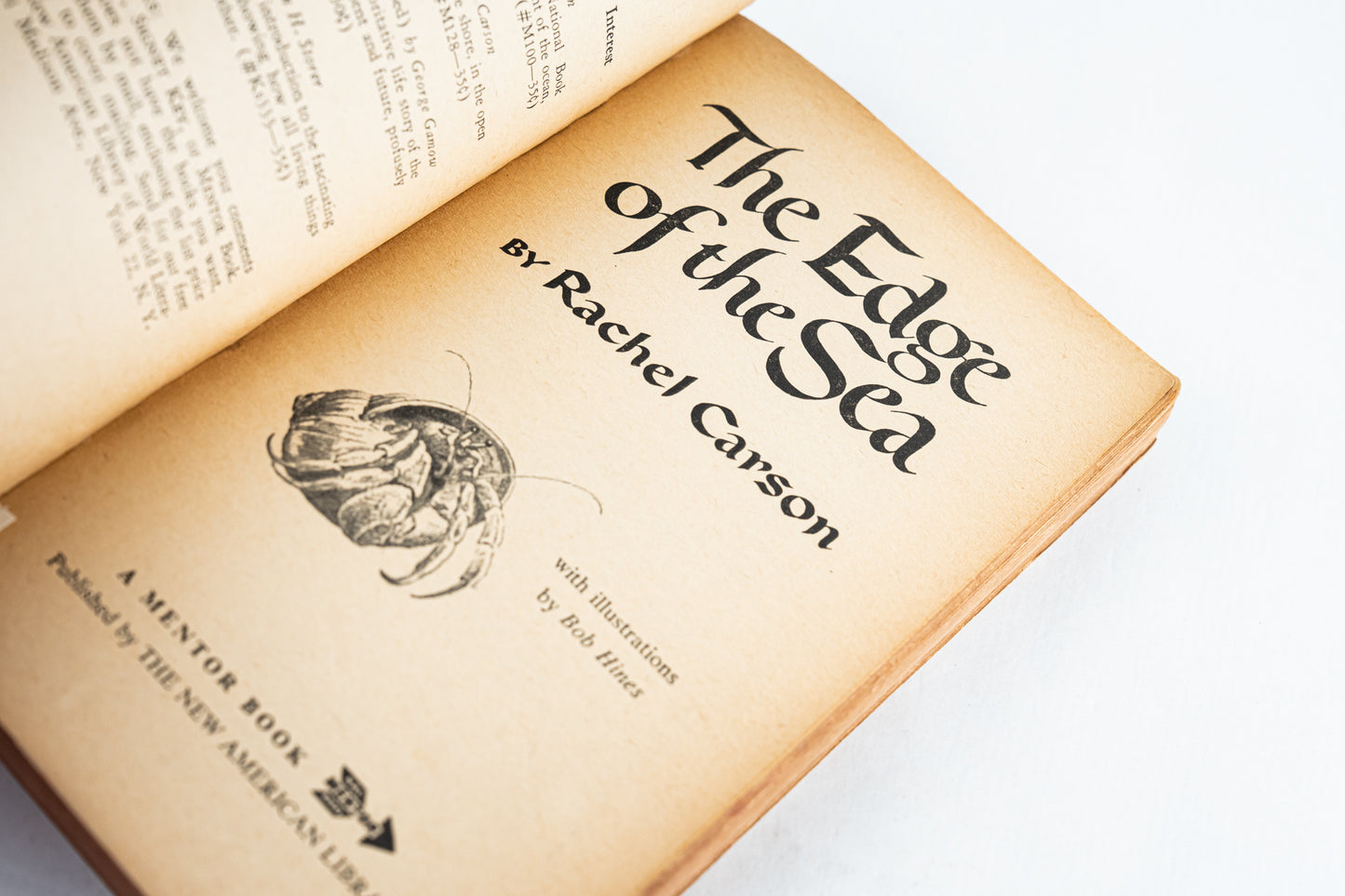 The Edge of the Sea