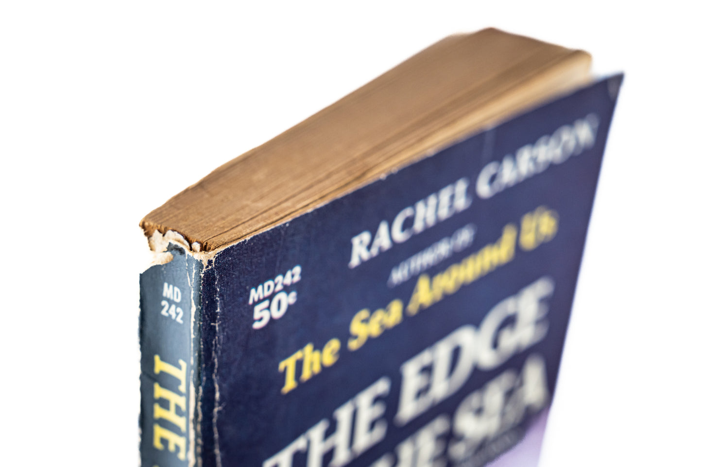 The Edge of the Sea