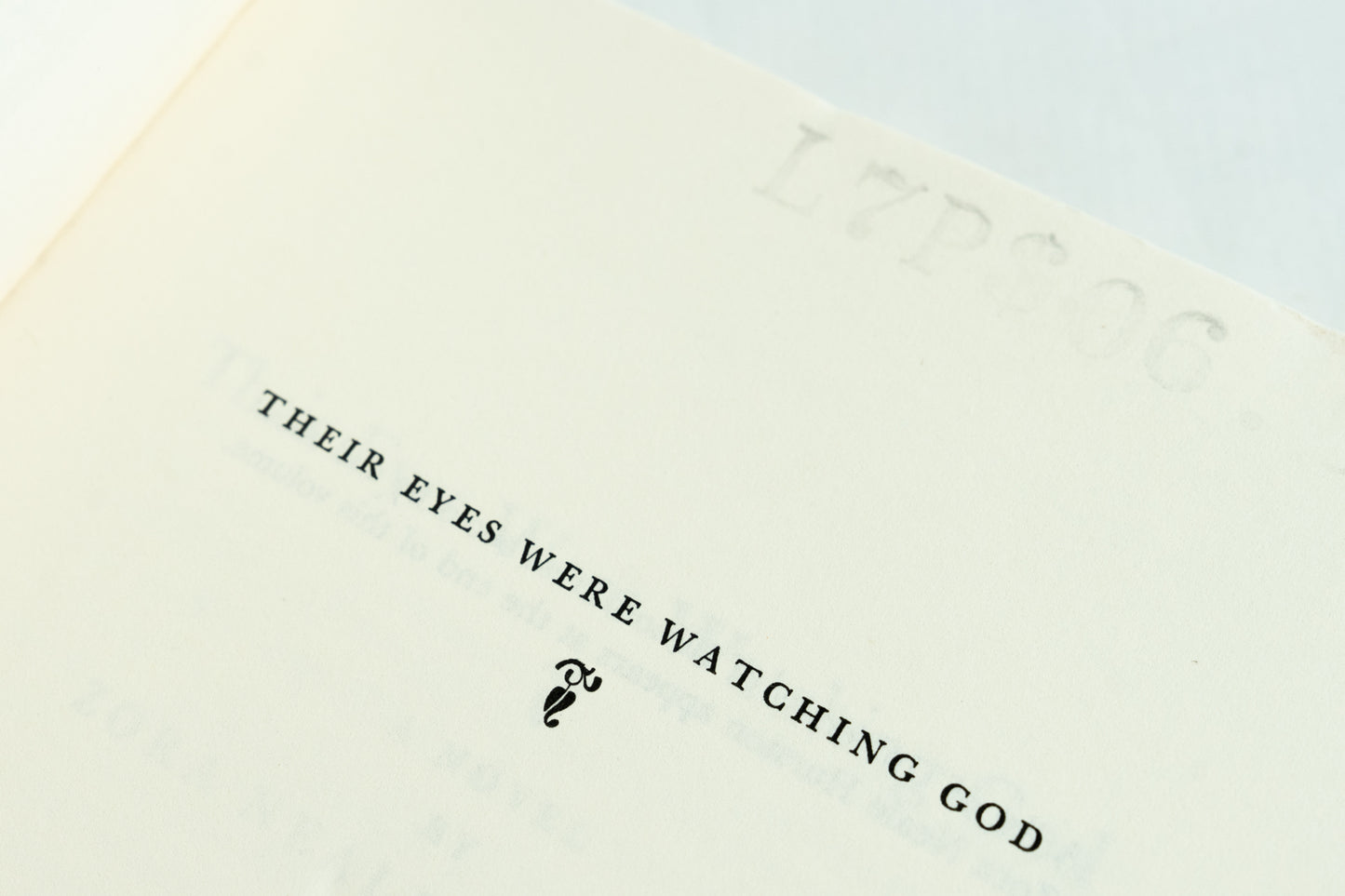 Their Eyes Were Watching God