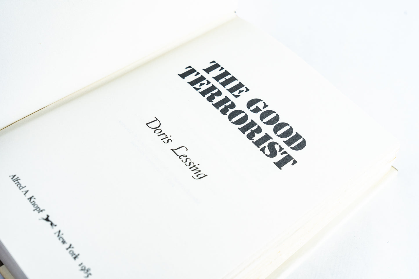 The Good Terrorist
