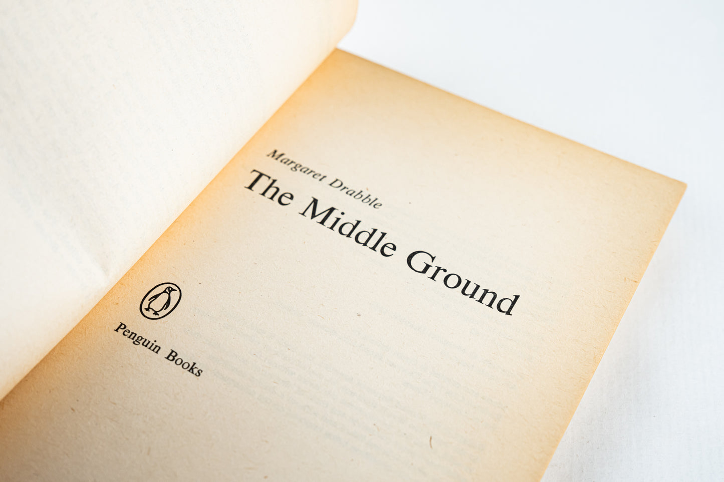 The Middle Ground