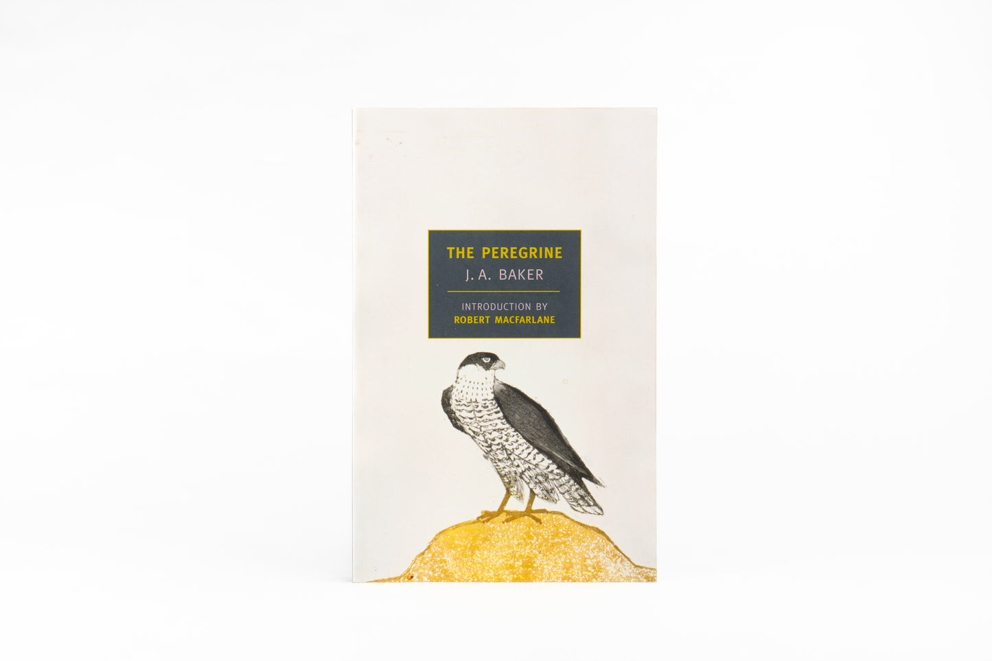 The Peregrine
