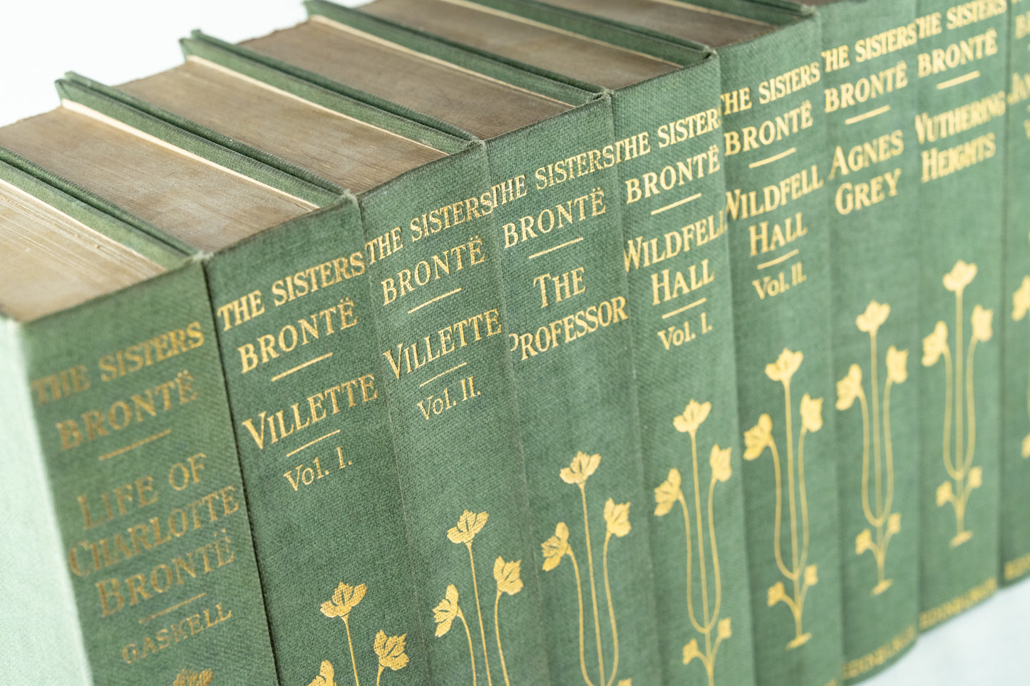 The Novels of the Sisters Brontë, 12 volumes, Thornton Edition