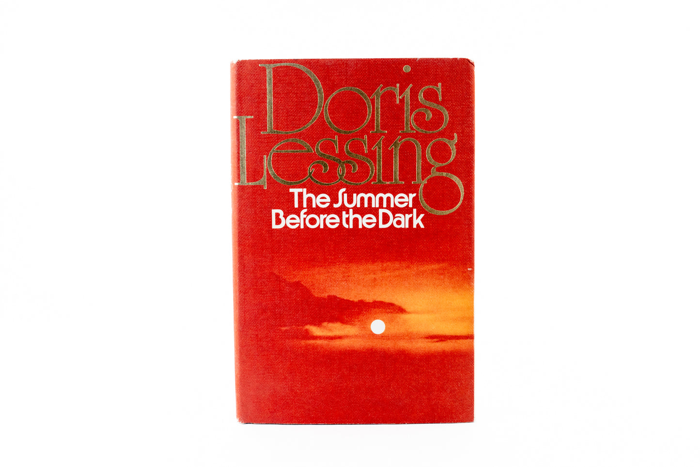 The Summer Before the Dark