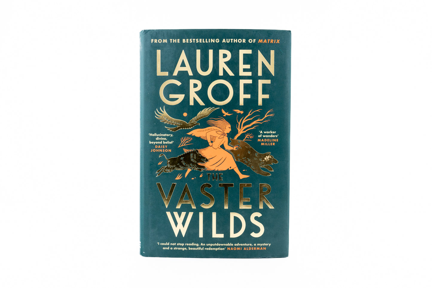 The Vaster Wilds