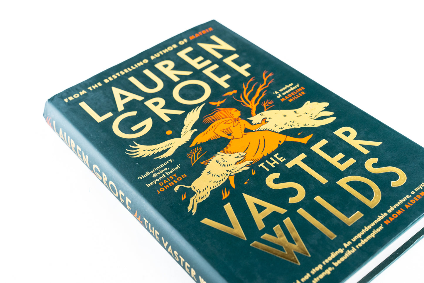 The Vaster Wilds