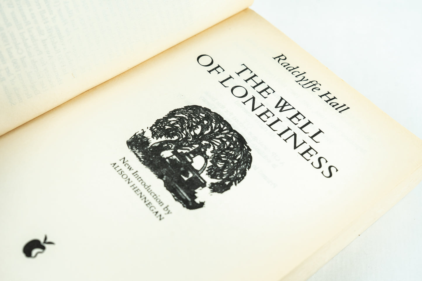 The Well of Loneliness