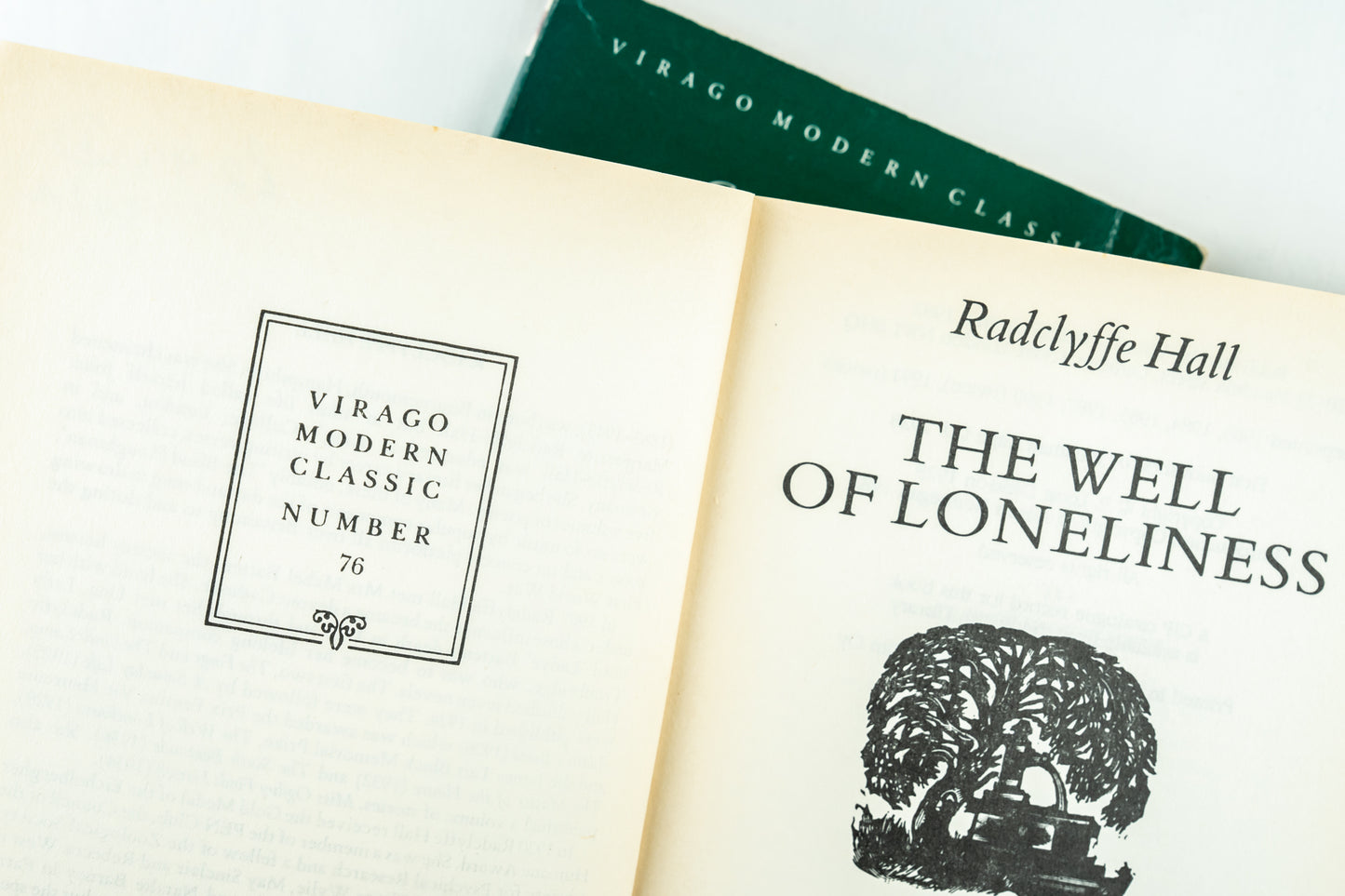The Well of Loneliness