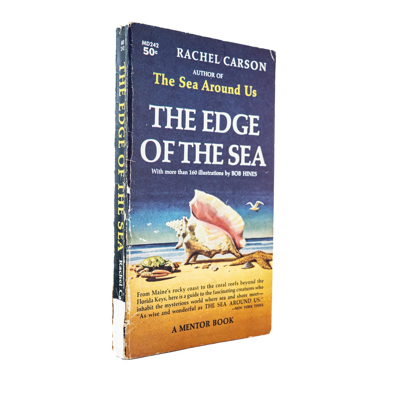 Portada 1:1 — The Edge of the Sea