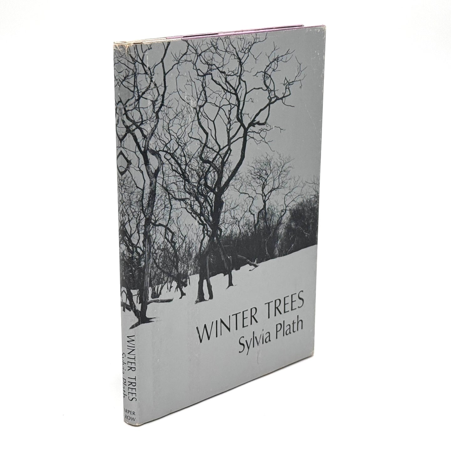 Portada 1:1 — Winter Trees